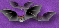 petiteimage03.gif (13692 bytes)