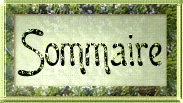 boutonsommaire.jpg (14001 bytes)
